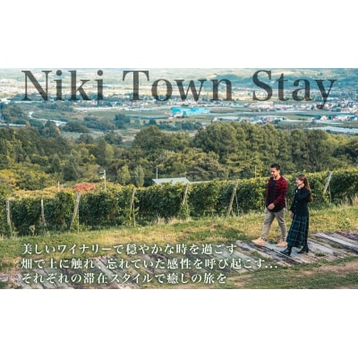 仁木町 後から選べる 旅行クーポン(30,000円分)[No.5613-1397]
