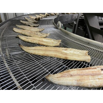 【静岡自鰻】 静岡県産 うなぎ 蒲焼 肝吸付(一口)(a15-533)