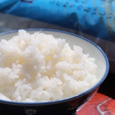 こだわりのコシヒカリ　10kg | ふるさと納税のお礼品