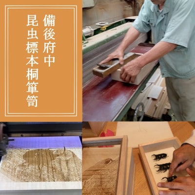 【数量限定】匠の昆虫標本桐箪笥「クワガタ3種」