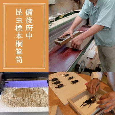 【数量限定】匠の昆虫標本桐箪笥「ヘラクレスオオカブト」