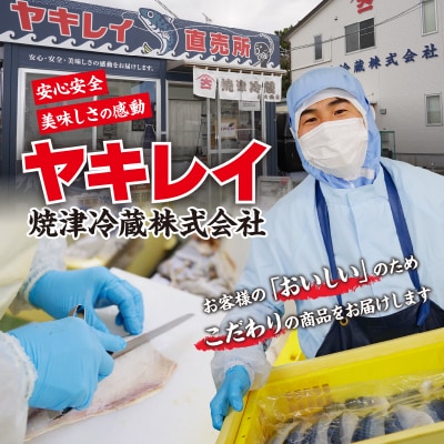 5.0kg以上!国内産 無添加 塩熟 さば フィレ(a28-012)