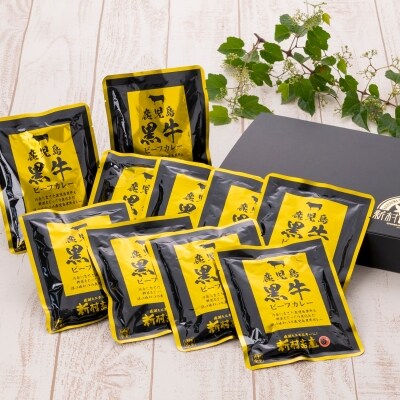 鹿児島黒牛ビーフカレー 10パックセット