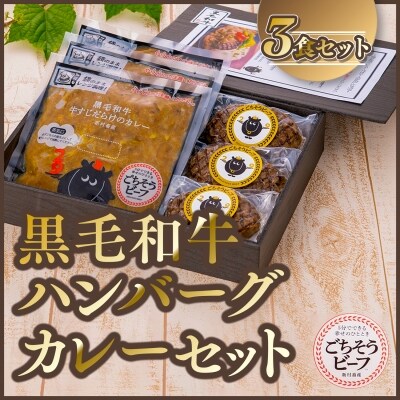黒毛和牛ハンバーグカレーセット(3食分)　A92012