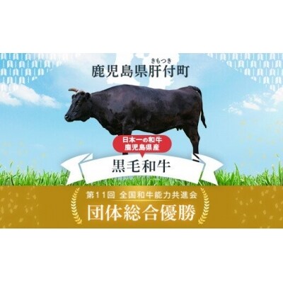黒毛和牛ハンバーグカレーセット(3食分)　A92012