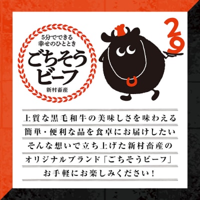 黒毛和牛牛すじだらけのカレー(180g×5個)　A91013