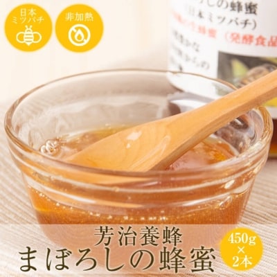 日本ミツバチ蜂蜜(2本)　B51001