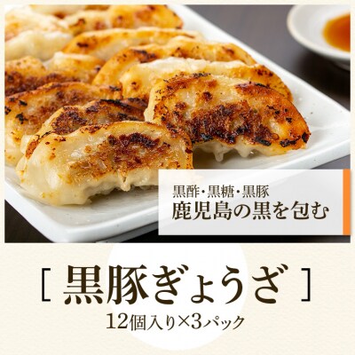 特選黒豚特盛しゃぶしゃぶセット　C02037