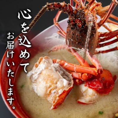 ≪数量限定≫ 冷凍イセエビぶつ切り(約900g・加熱用) 　B47001