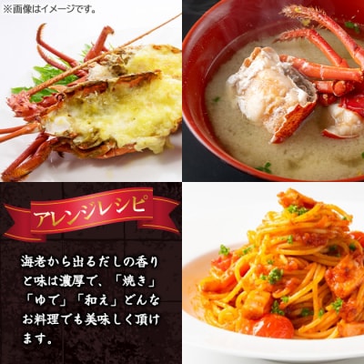 冷凍伊勢海老ぶつ切り(加熱用)1.4kg　C47001