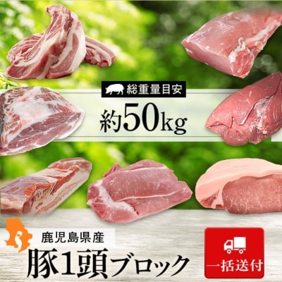 鹿児島県産豚1頭ブロックセット(6箱一括送付)　G05031