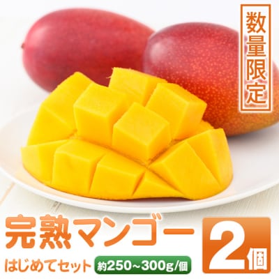 【先行受付】肝付町産　完熟マンゴー　はじめてセット　A15004