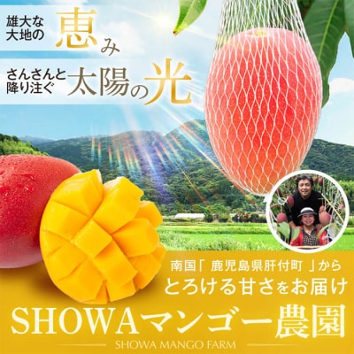 【先行受付】肝付町産　完熟マンゴー　はじめてセット　A15004