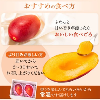 【先行受付】肝付町産　完熟マンゴー　はじめてセット　A15004