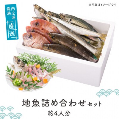 魚屋さんの選んだ新鮮お魚詰め合わせ(約4人分)　A09002