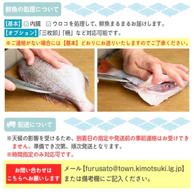 地魚詰め合わせセット(約4人分) 【マルケイ水産】　A09002