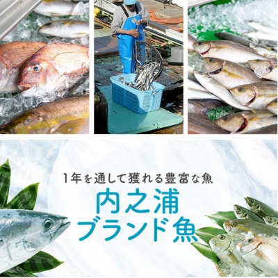 地魚詰め合わせセット(約4人分) 【マルケイ水産】　A09002