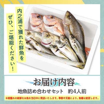 地魚詰め合わせセット(約4人分) 【マルケイ水産】　A09002