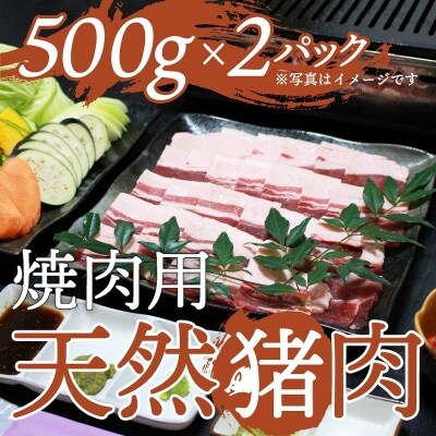 天然イノシシ肉(スライス厚め・冷凍)焼肉・鉄板焼き用 約500g×2P　A59003