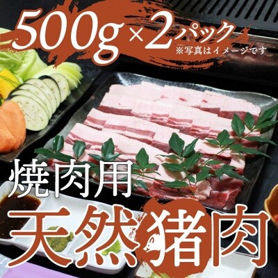 天然イノシシ肉(スライス厚め・冷凍)焼肉・鉄板焼き用 約500g×2P