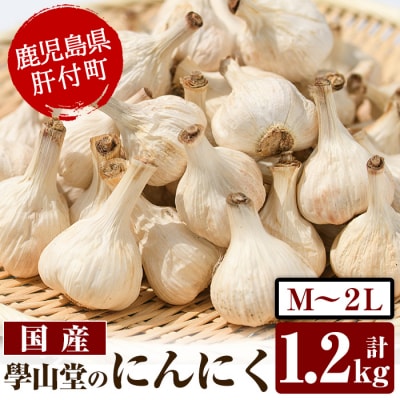 學山堂のにんにく(計1.2kg)鹿児島 国産 にんにく　A69001