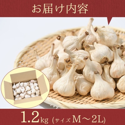 學山堂のにんにく(計1.2kg)鹿児島 国産 にんにく　A69001