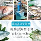 【3回定期便】魚屋さんの選んだ新鮮お魚詰め合わせ(約4人分)　C09002