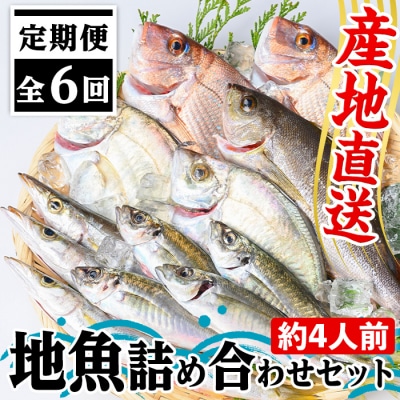 【6回定期便】魚屋さんの選んだ新鮮お魚詰め合わせ(約4人分)　D09001
