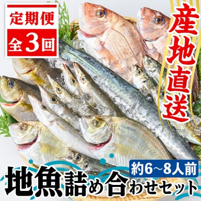 【3回定期便】魚屋さんの選んだ新鮮お魚詰め合わせ(約6~8人分)　D09002