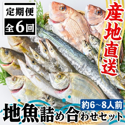 【6回定期便】魚屋さんの選んだ新鮮お魚詰め合わせ(約6~8人分)　E09001