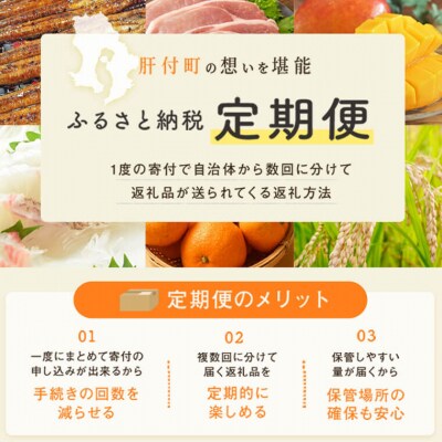 『かごしま黒豚ふるさと定期便』ファミリーセットD・10回　E02008