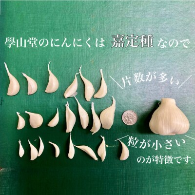 〈先行受付〉學山堂のにんにくミックスセット(計1.2kg)鹿児島 国産 　A69004