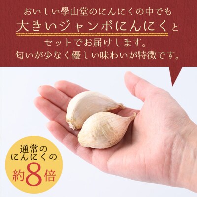 〈先行受付〉學山堂のにんにくミックスセット(計1.2kg)鹿児島 国産 　A69004