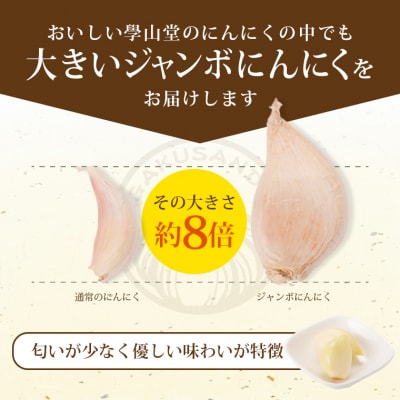 〈先行受付〉學山堂のジャンボにんにく(計1.2kg)鹿児島 国産　A69003