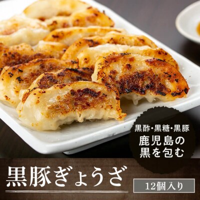 特選黒豚モモ・黒豚肩ロース・黒豚餃子セット　A02044
