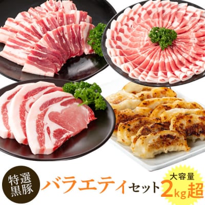 特選黒豚バラエティセット(約2.1kg)　B02076