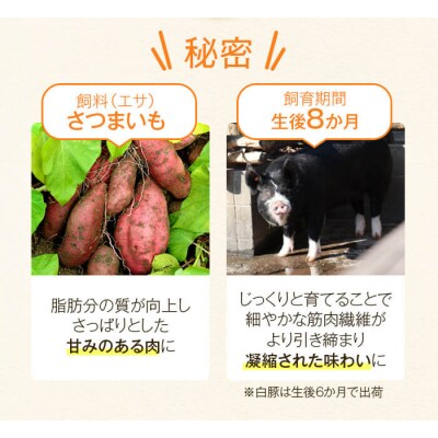 ふるさと黒豚セットB B02079 | 鹿児島県肝付町 | ふるさと納税 ふるさと黒豚セットB B02079 | 鹿児島県肝付町 | ふるさと納税
