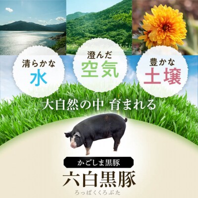 ×黒豚ふるさとセット<約2.3kg>　B02080