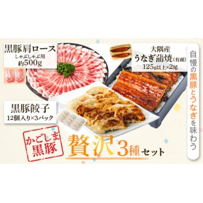 鹿児島県産うなぎ2尾・黒豚肩ロース・黒豚餃子セット　B02083