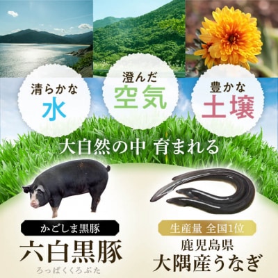 鹿児島県産うなぎ2尾・黒豚肩ロース・黒豚餃子セット　B02083