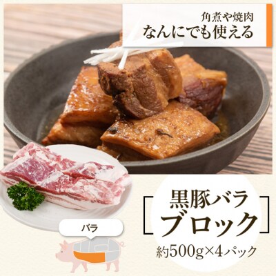 鹿児島県産黒豚バラブロック(約2kg)・黒豚餃子セット　B02084