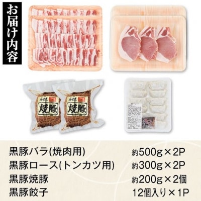 特選黒豚焼肉・トンカツ・黒豚焼豚2個セット　B02091