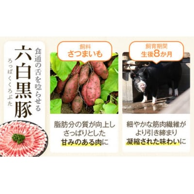 ふるさと黒豚セットD　C02046