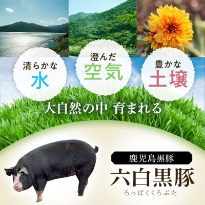 特選黒豚しゃぶしゃぶセット　C02047