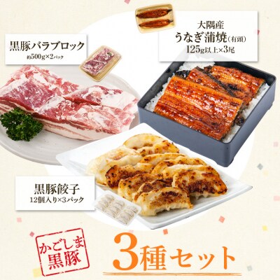 鹿児島県産うなぎ(3尾)・黒豚バラブロック(約1kg)・黒豚餃子セット　C02050
