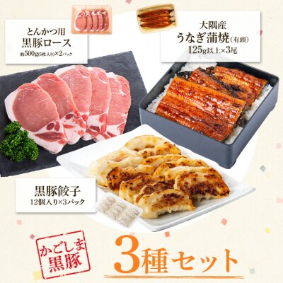 鹿児島県産うなぎ(3尾)・黒豚ロース(5枚入×2)・黒豚餃子セット　C02051
