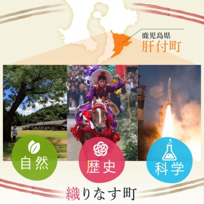 鹿児島県産うなぎ(3尾)・黒豚ロース(5枚入×2)・黒豚餃子セット　C02051