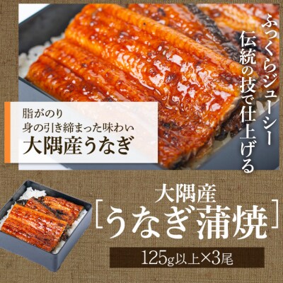鹿児島県産うなぎ(3尾)・黒豚ロース(5枚入×2)・黒豚餃子セット　C02051