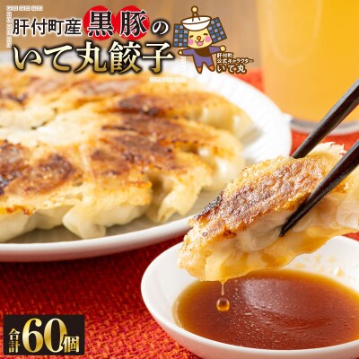 肝付町産　黒豚のいて丸餃子　合計60個(たれ付)　P43002