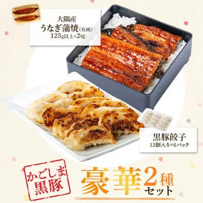 鹿児島県大隅産うなぎ2尾・黒豚餃子セット　B02086